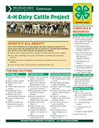 MI 4-H Dairy Cattle Project Snapshot