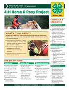 MI 4-H Horse & Pony Project Snapshot