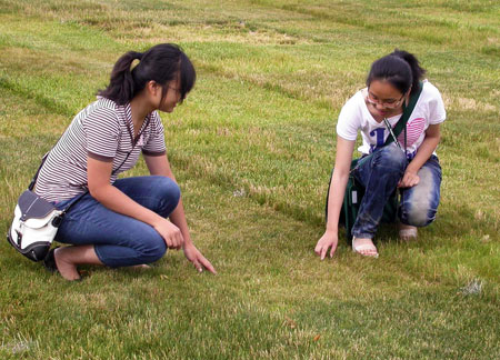 Two people looking at lawn height.