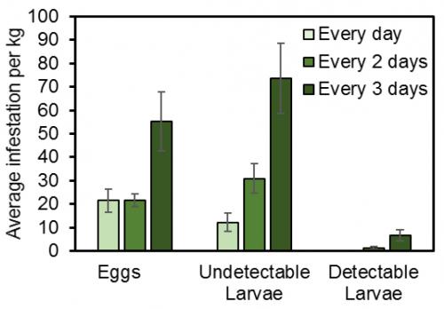 SWD eggs, larvae graph