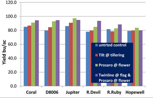Effects of fungicides on the yield of wheat varieties