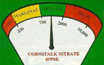 Corn nitrate interpretation guide