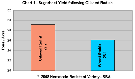 Chart 1 - Sugarbeet Yield following Oilseed Radish.