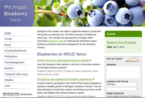 Michigan Blueberry Facts website