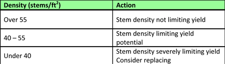 Actions to take if your stand has been insured, based on stem density.