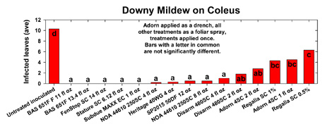 downy mildew 3