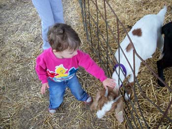 Girl petting a goat