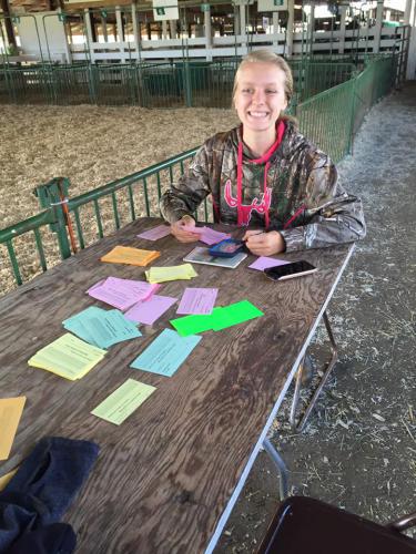 Grace Schmidt helping with the livestock judging contest.