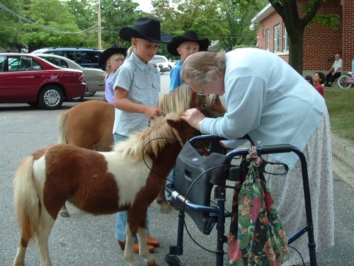 horse pet therapy