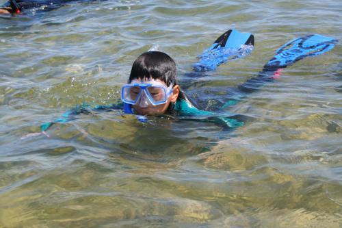 Great Lakes and Natural Resources Camper snorkeling