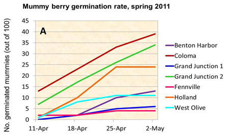 Figure A: Graph showing mummy berry germination rate, spring 2011.