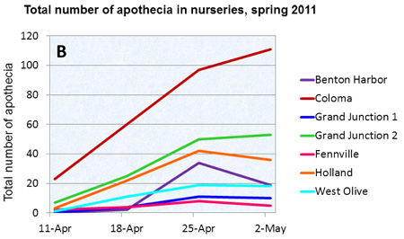 Figure B: Graph showing number of apothecia in nurseries, spring 2011.