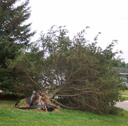 Damage from Oct '03 storm