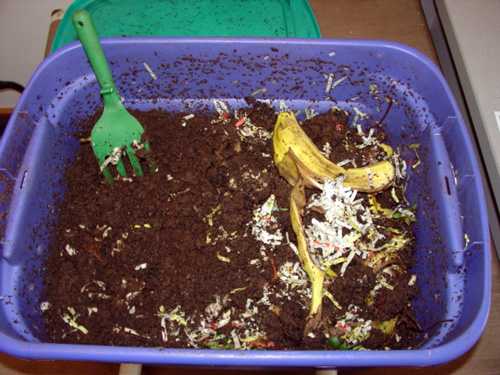 Worm composting or vermicomposting - MSU Extension