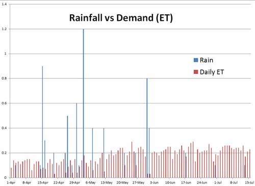 Daily demand and rainfall
