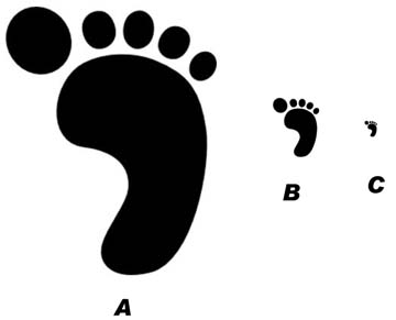 footprint figure