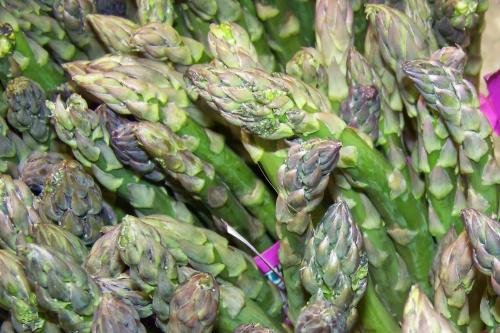 asparagus photo by Mary Dunckel