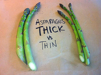 Asparagus thick vs. thin