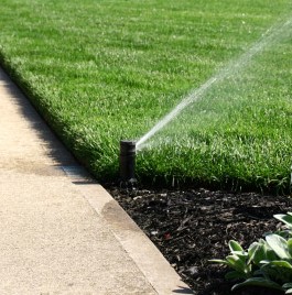 Lawn watering incorporating mulch. 