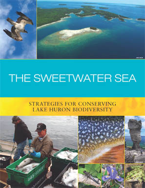 The Sweetwater Seas: An International Biodiversity Conservation Strategy for Lake Huron report cover image.