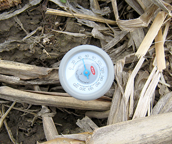 Thermometer in soil showing 48 degrees