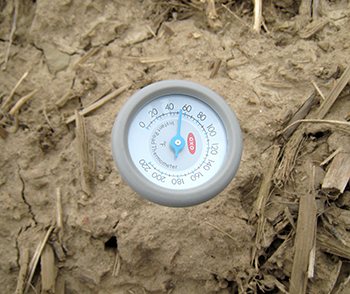 Thermometer in soil showing 51 degrees