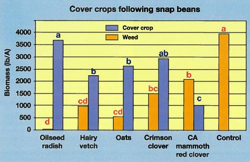 Cover crops graph