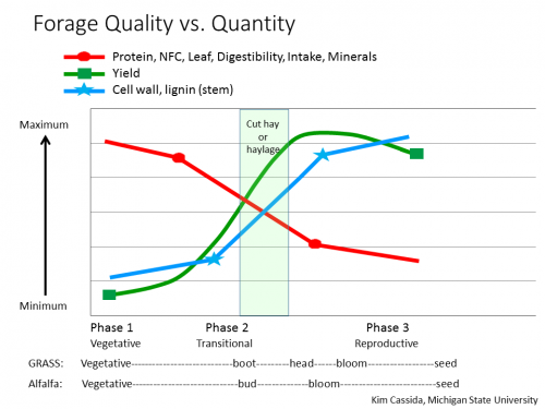 forage quality graph