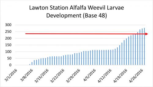 Lawton Station Alfalfa weevil larva development
