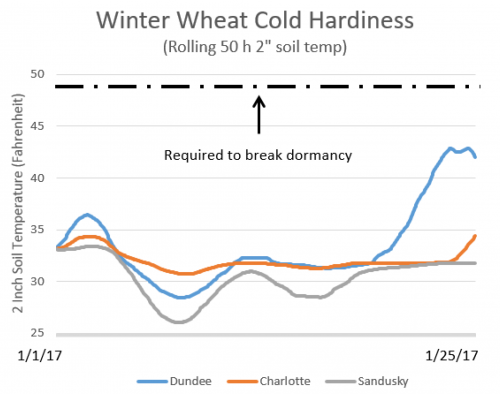 Graph of winter wheat cold hardiness