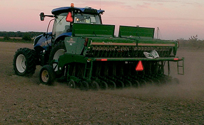 Planting wheat with tractor