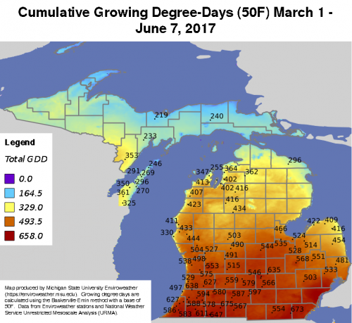  Cumulative growing degree days (GDD, base 50/max 86) from March 1 – June 7, 2017, from MSU’s Enviroweather website.