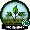 4-H Bioenergy Badge