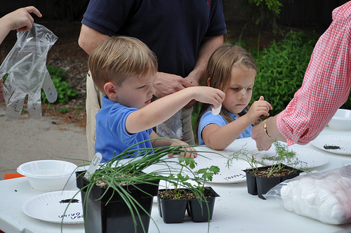 young kids investigating plants 