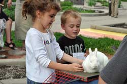 Young kids looking at rabbit
