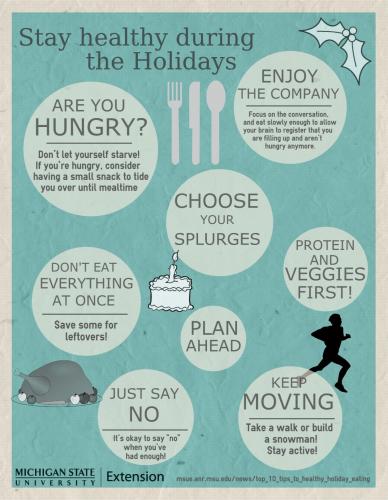 Holiday Healthy Eating Infographic