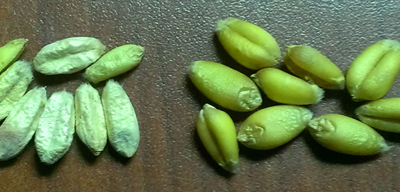 Tombstone kernels